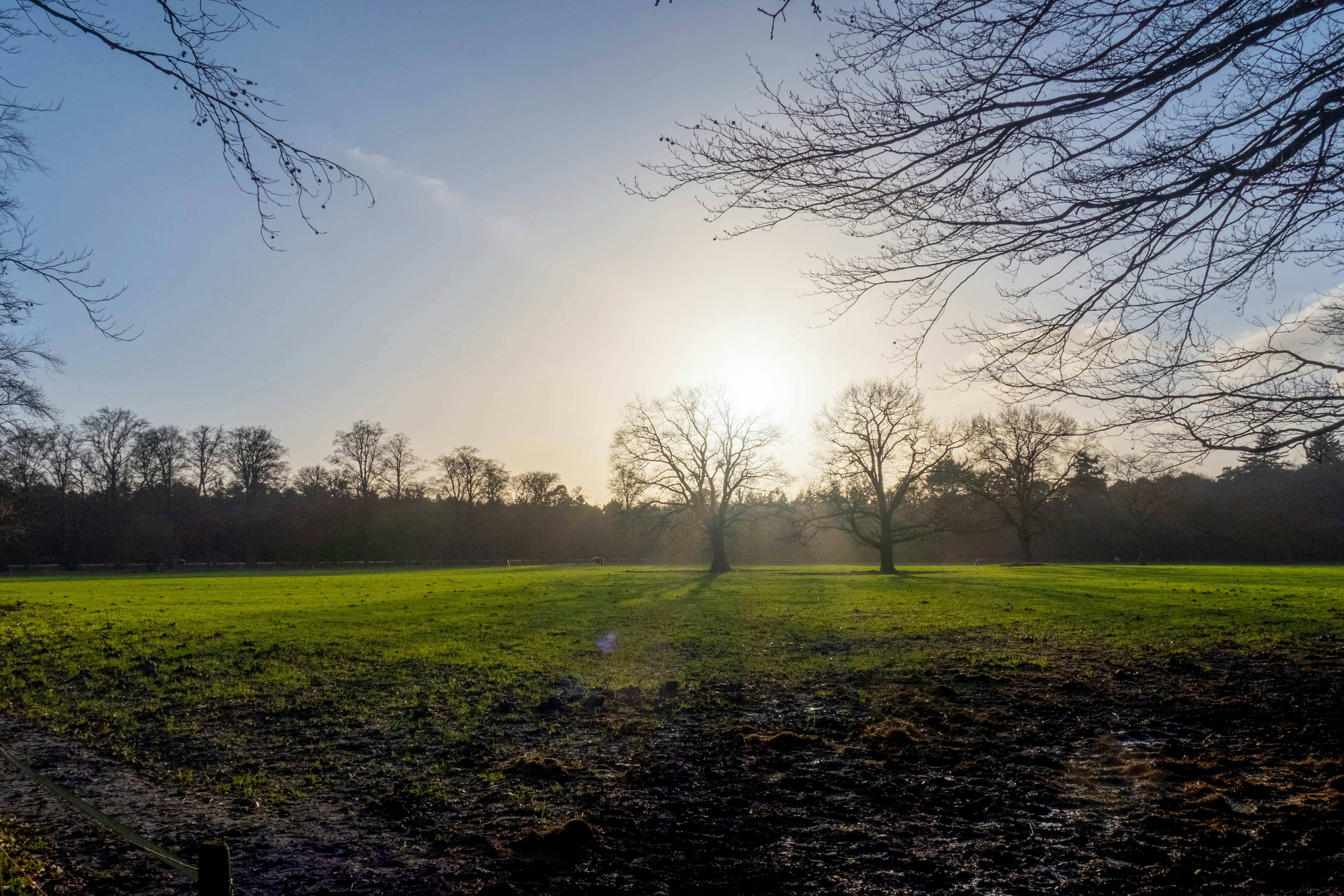 Could Revolving Funds Facilitate a Low-Carbon Transition in Austerity Time?