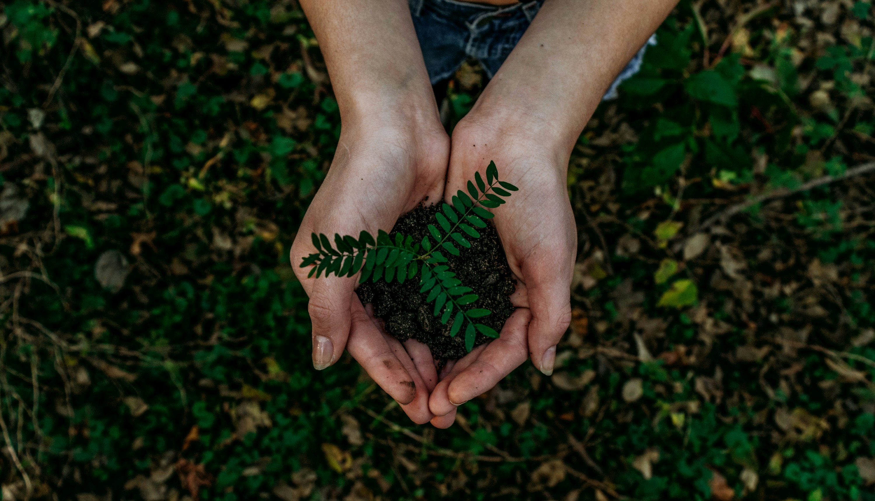 A Team of Researchers Developed a Game to Drive Sustainable Change in Livestock Practices